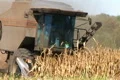 Combine Harvesting Corn 02 Footage
