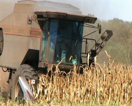 Combine Harvesting Corn 02 動画素材 2822817