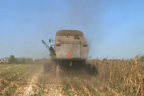 Combine Harvesting Corn 04 動画素材 2775646