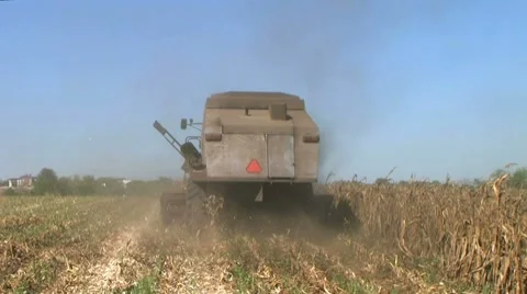 Combine Harvesting Corn 04 Stock Footage 8607420