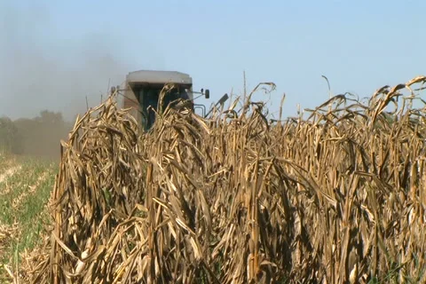 Combine Harvesting Corn 05 動画素材 2774159