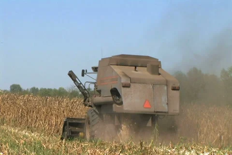 Combine Harvesting Corn 07 Stockbeeldmateriaal 2775364
