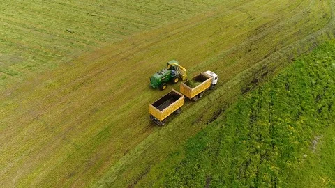 Combine Harvesting Corn and Unloading Grains into Trailer. Stock Footage 77277612