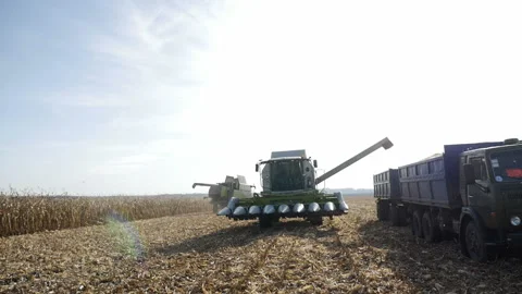 Combine harvesting corn and unloading grains into trailer Stock Footage 97775452