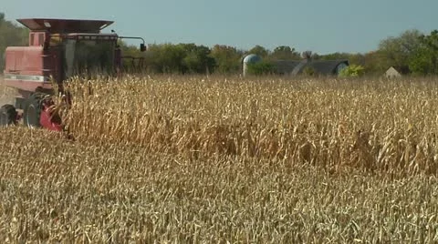 Combine Harvesting Corn Stock Footage 12282884
