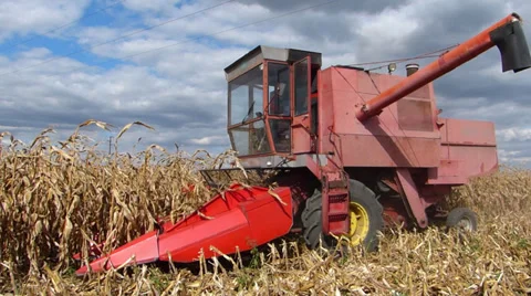 Combine harvesting corn Stock Footage 30582233