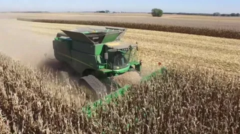 Combine harvesting corn Stock Footage 68819343