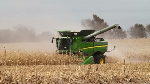 Combine harvesting corn Stock-Footage 234333265