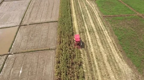 Combine harvesting corn machine Stock Footage 68359179