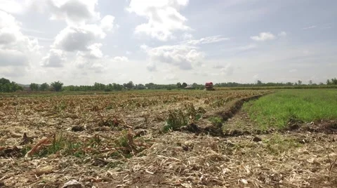 Combine harvesting corn machine Stock-Footage 68359460