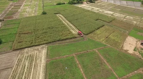 Combine harvesting corn machine Stock Footage 68359536