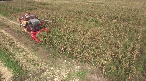 Combine harvesting corn machine Video stock 68359884