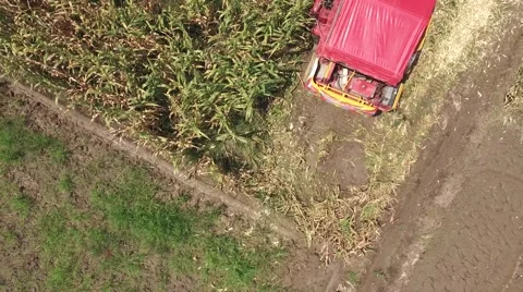 Combine harvesting corn machine Stock Footage 68360390