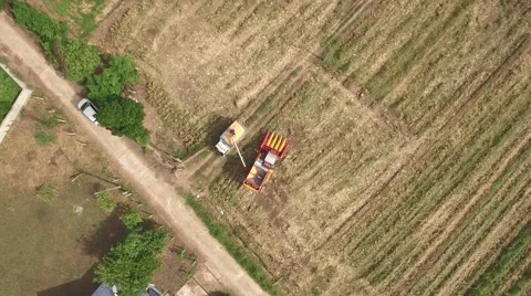 Combine harvesting corn machine Stock Footage 68360761