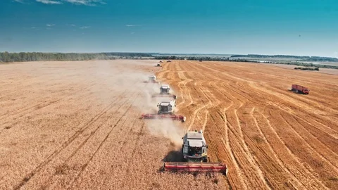 Combine Harvesting The Field Vídeos de archivo 84075373