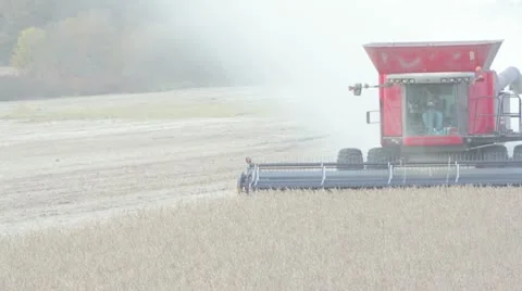Combine Harvesting Stock-Footage 12249422