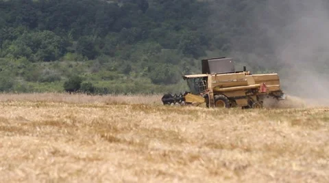 Combine harvesting grain Stock Footage 40514481