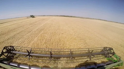 Combine harvesting grain Vídeo Stock 88884398