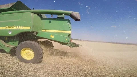 Combine harvesting grain Stock Footage 88884444