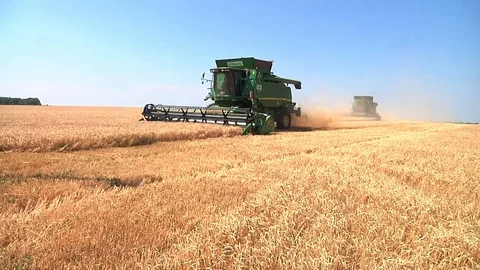 Combine harvesting grain Vídeo Stock 88884457