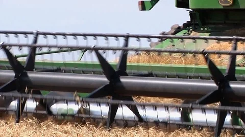 Combine harvesting grain Stock Footage 88884471
