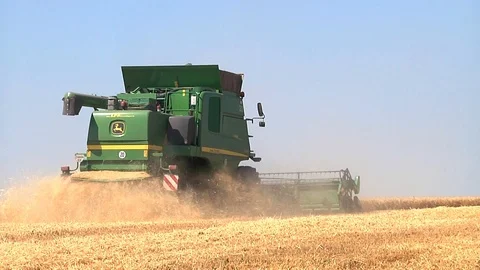 Combine harvesting grain Stock Footage 88884472