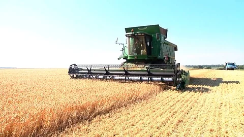 Combine harvesting grain Stock Footage 88884496