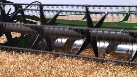Combine harvesting grain Stock Footage 88884498