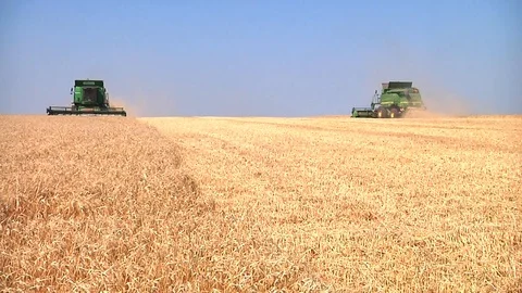 Combine harvesting grain Stock Footage 88884502