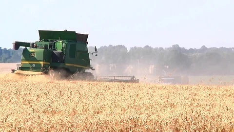 Combine harvesting grain Vídeo Stock 88884507