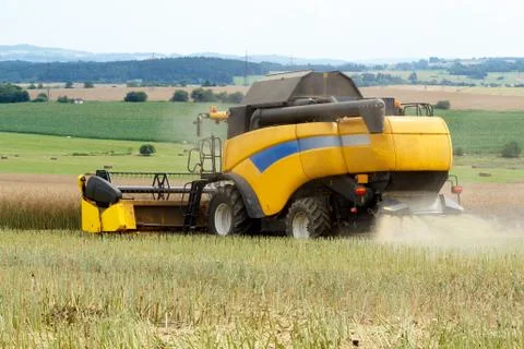 Combine harvesting rape Stock Photos