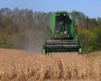 Combine Harvesting Soybeans 06 SD Footage
