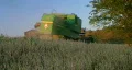 Combine Harvesting Soybeans HD Footage