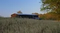 Combine Harvesting Soybeans HD Footage