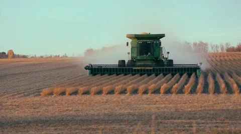COMBINE HARVESTING SOYBEANS Stock Footage 42822267
