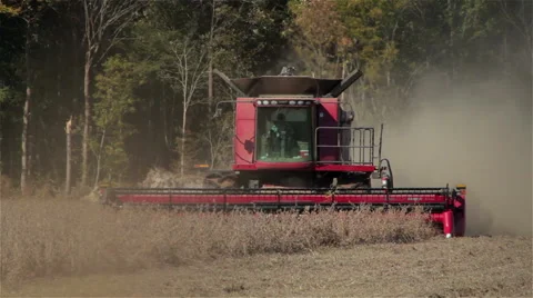 Combine Harvesting Soybeans Stock Footage 43109833
