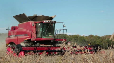 Combine Harvesting Soybeans Stock Footage 43386564