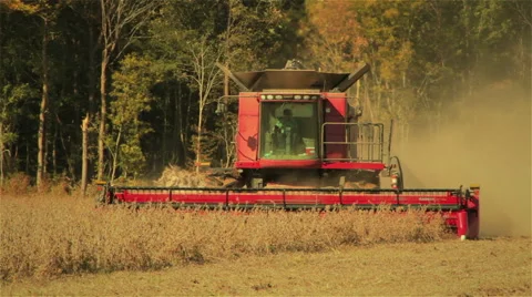 Combine Harvesting Soybeans Stock Footage 43664485