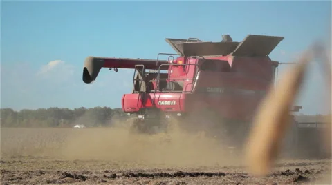 Combine Harvesting Soybeans Stock Footage 43666805