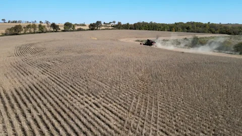 Combine Harvesting Soybeans Stock-Footage 140695439