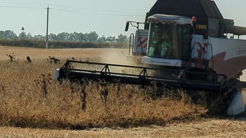 Combine harvesting soybeans Stock Footage 252033260