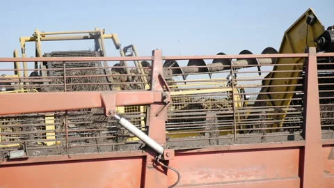 Combine harvesting sugar beet, Stock Footage 97773239
