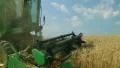 Combine Harvesting Wheat 05 HD Footage
