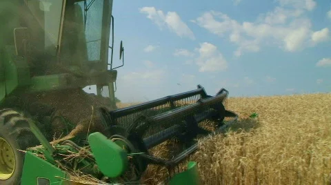 Combine Harvesting Wheat 05 Stock Footage
