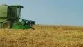 Combine Harvesting Wheat 06 HD Footage