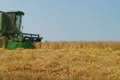 Combine Harvesting Wheat 06 Footage