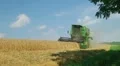 Combine Harvesting Wheat 07 HD Footage