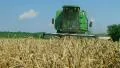 Combine Harvesting Wheat 08 HD Footage