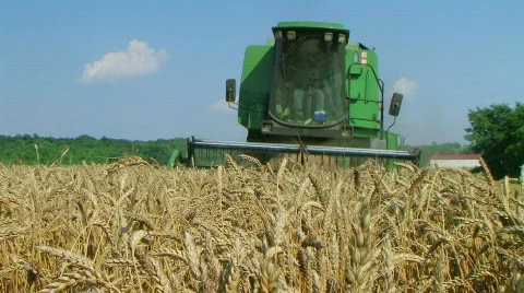 Combine Harvesting Wheat 08 Stock Footage