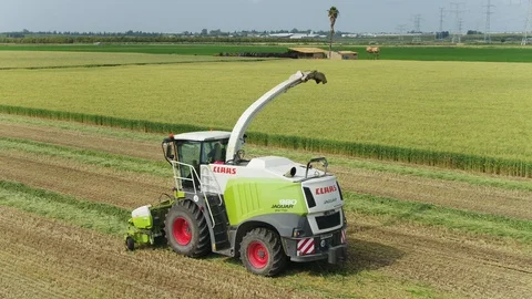 Combine harvesting wheat to container track Stock Footage 128668029